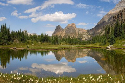 地藏王菩萨灵签第59签解签 地藏王菩萨灵签 第五十九签 壬戌