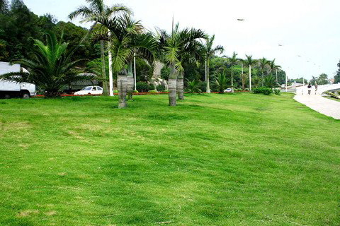 地藏王菩萨灵签第60签解签 地藏王菩萨灵签 第六十签 癸亥