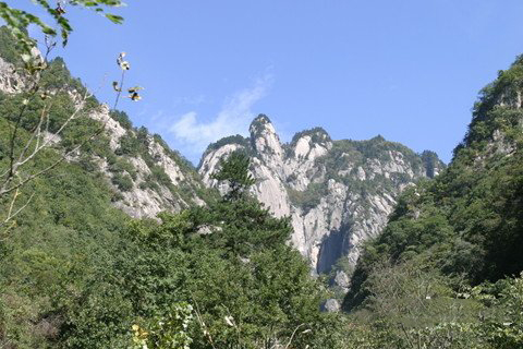 送子娘娘灵签第12签解签 注生娘娘灵签 第十二签