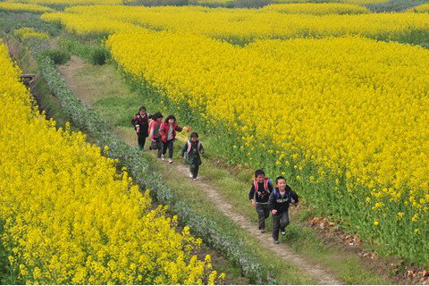 送子娘娘灵签第25签解签 注生娘娘灵签 第二十五签