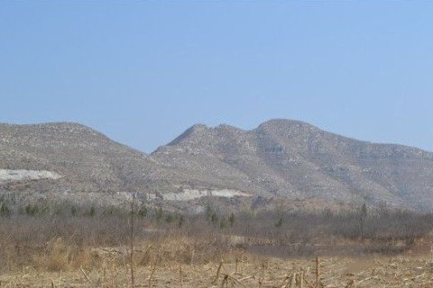 梦见光秃秃的山头