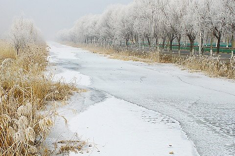 三平祖师灵签第38签解签 三平祖师灵签 第三十八签