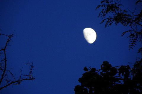 梦见弧型月亮高挂天空