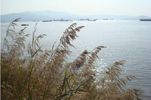 广泽尊王灵签第22签解签 广泽尊王灵签 第二十二签