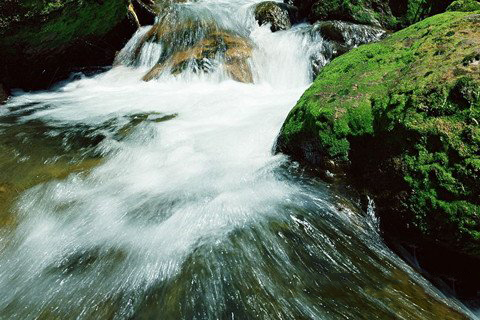 清水祖师运签第15签解签 福安寺清水祖师运签 第十五首：清、清水祖师