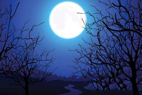 梦见圆月