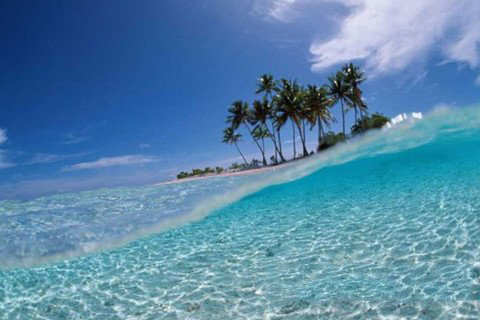 清水祖师运签第41签解签 福安寺清水祖师运签 第四十一首：筮、毛颖