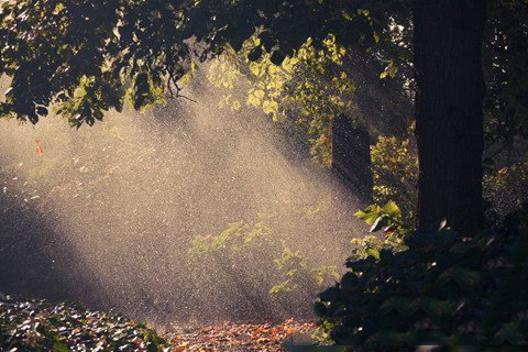 清水祖师运签第67签解签 福安寺清水祖师运签 第六十七首：为、张生