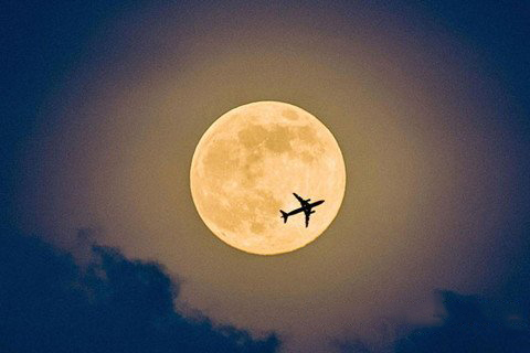 清水祖师运签第74签解签 福安寺清水祖师运签 第七十四首：断、韩信