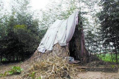 梦见在坟里睡觉