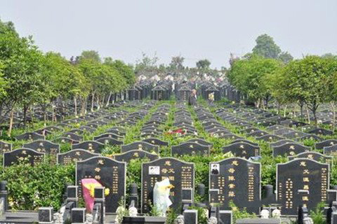 梦见公墓