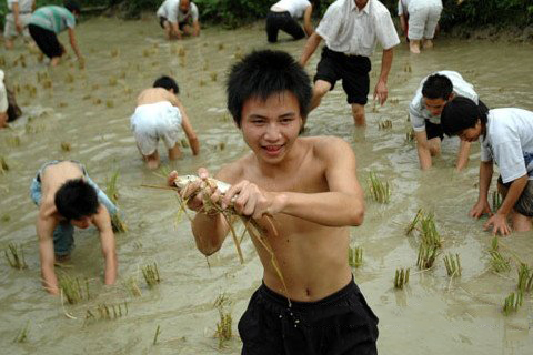 梦见掉进浑水里