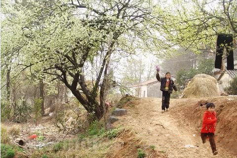 梦见被债主追赶