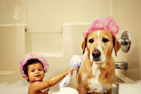 梦见别人给狗洗澡