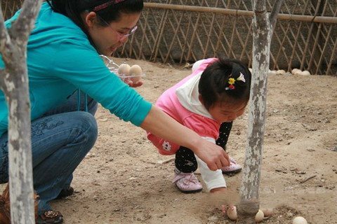 梦见拾鸡蛋