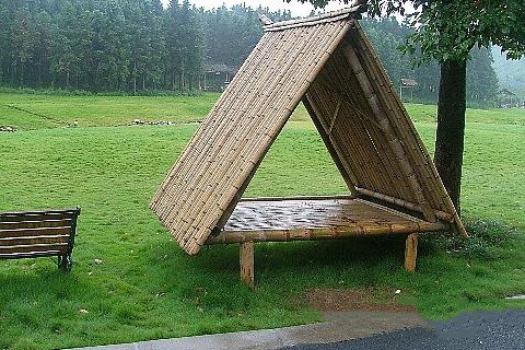 梦见在河床上露营