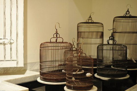 梦见鸟笼