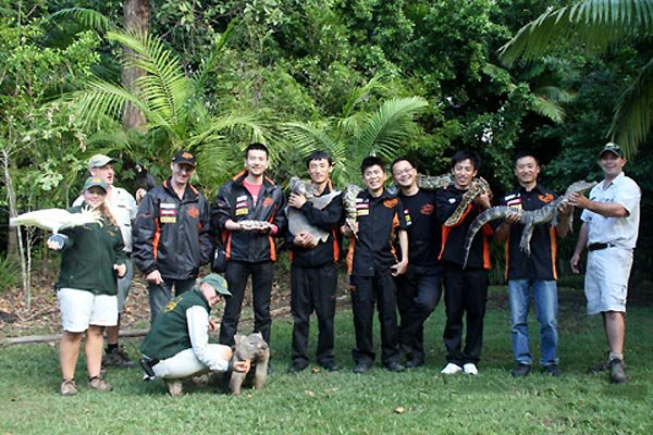 孕妇梦见大蟒蛇