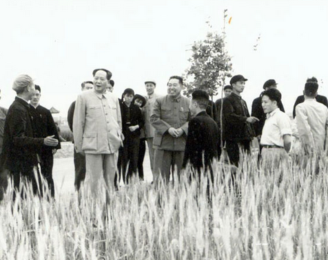 梦见和毛主席在一起