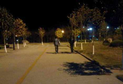 梦见自己走夜路
