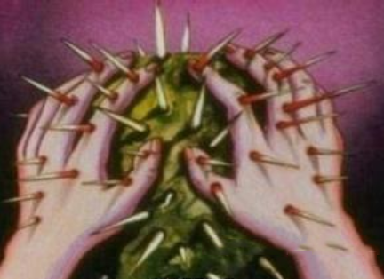梦见仙人掌扎手