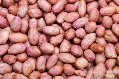 梦见很多花生米