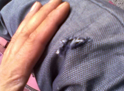 梦见裤子刮破了