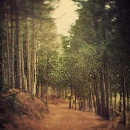 梦见了暗恋的人代表什么？