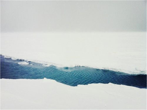 梦见了同事是什么征兆预兆？