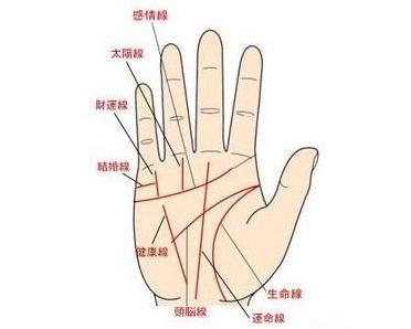 手相图解大全 