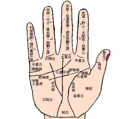 手相怎么看财运 