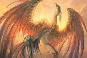 金牛座：三足乌鸦