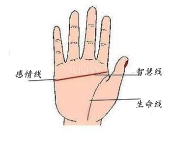 男人假断掌手相图解 