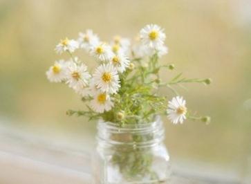 一月份是什么星座 