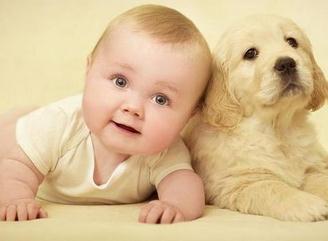 狗年宝宝几月出生好