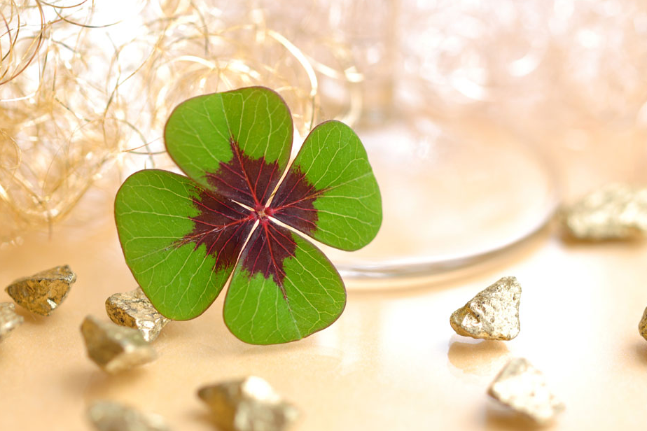 2018年运势最好的属相 