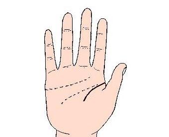 生命线短寿命就短吗 