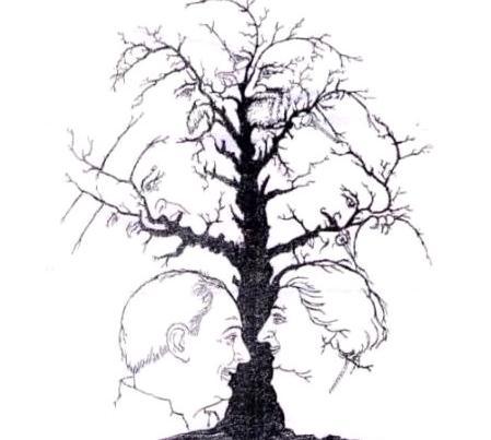 赶紧来测测你的智商多高 