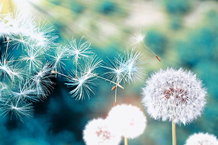 1978年出生命运如何 