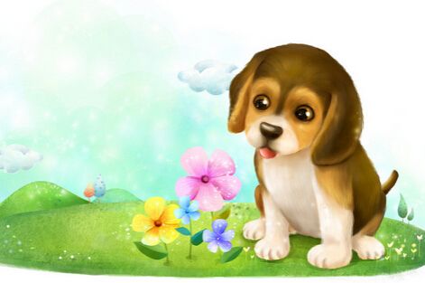 属狗的和什么属相最配 