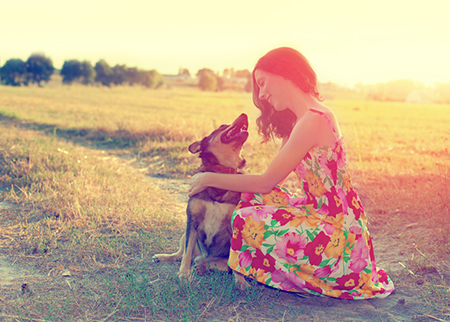 1991年属羊的命运 