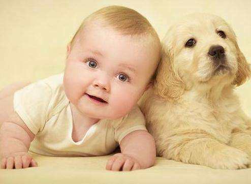 狗年宝宝出生月份不同 命运不同 