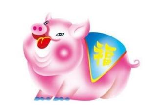 孕妇做梦梦见猪