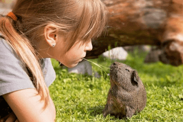 2020洋气女孩名字大全 