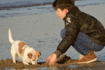 2020男宝宝好听的名字 