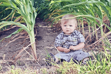 鼠宝宝取小名大全男孩 