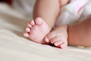 属狗小孩取名忌用偏旁