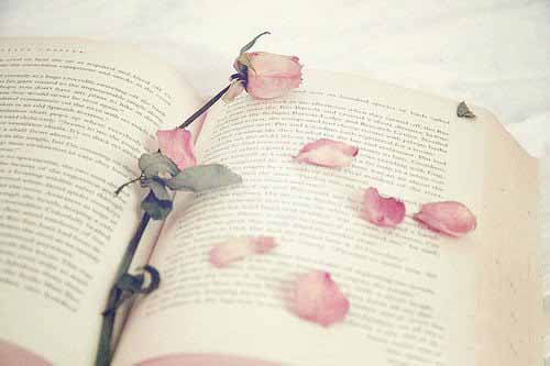 时尚的名字大全 