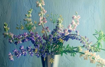 好看的英文网名带符号 