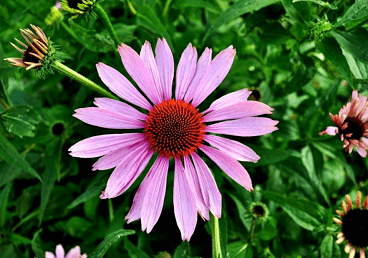 来看看你名字缩写的含义是什么意思 